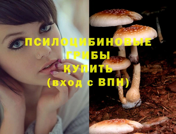 COCAINE Каменск-Шахтинский