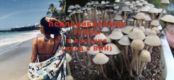 ешки Каменка