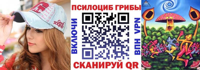 Псилоцибиновые грибы Magic Shrooms  Купить закладки  Стародуб 